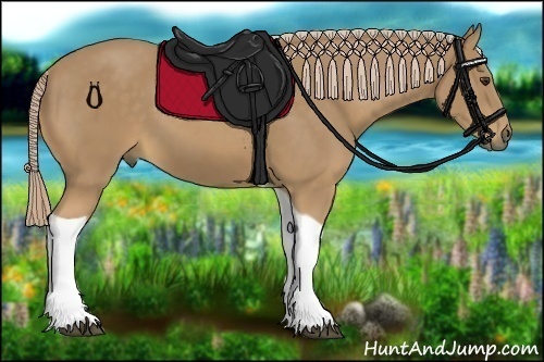 Horse Color:Palomino Tobiano 