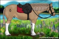 Horse Color:Palomino Tobiano 