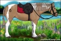 Horse Color:Palomino Tobiano 