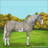 Horse Color:Silver Smoky Blue Roan Splash Frame 