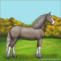Horse Color:Silver Grullo Splash 