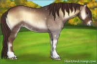 Horse Color:Red Onyx 
