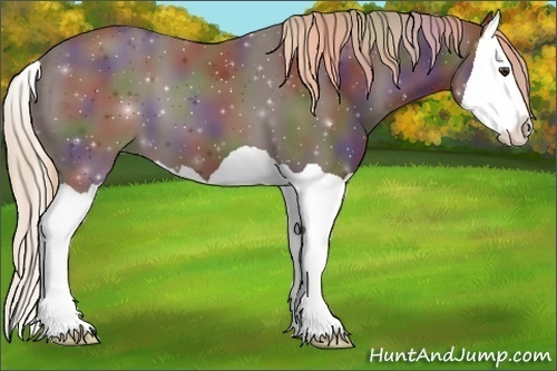 Horse Color:Nacre Liver Chestnut Splash