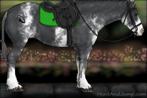 Horse Color:White Spotted Black Varnish