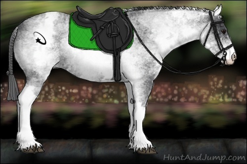 Horse Color:White Spotted Blue Roan