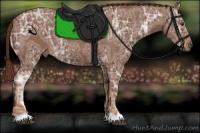 Horse Color:Chestnut Ice 