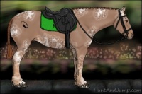 Horse Color:Chestnut Ice 