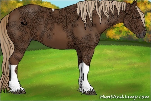 Horse Color:Chestnut Ice Tobiano 