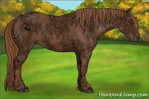 Horse Color:Chestnut Ice