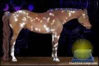 Horse Color:White Spotted Chocolate Brown Sabino 