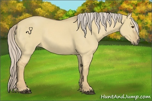 Horse Color:Palomino Dun 