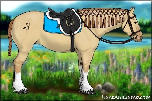 Horse Color:Red Dun