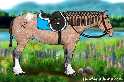 Horse Color:Bay Ice Appaloosa Rabicano 