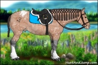 Horse Color:Bay Ice Appaloosa Rabicano 