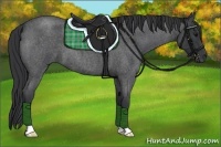 Horse Color:Blue Roan 