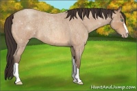 Horse Color:Amber Champagne Roan 