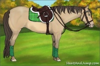 Horse Color:Amber Cream Champagne Roan 