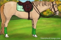 Horse Color:Gold Champagne