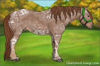 Horse Color:Chestnut Ice 