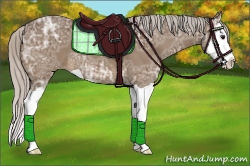 Horse Color:Silver Brown Ice Splash 