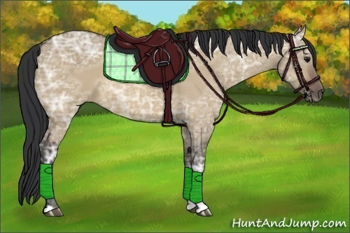 Horse Color:Brown Ice Dun 