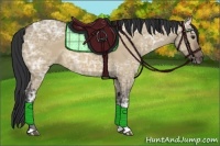 Horse Color:Brown Ice Dun