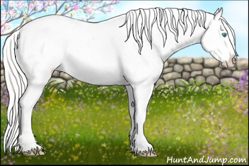 Horse Color:Cremello Roan Varnish