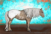 Horse Color:Silver Smoky Black Appaloosa