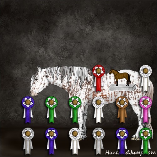 Horse Color:Bay Roan Snowflake Varnish  and Bay Snowflake Varnish