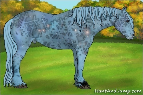 Horse Color:ERROR: UNKNOWN ANOMALY