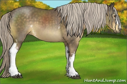 Horse Color:White Spotted Chocolate Palomino 