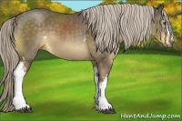 Horse Color:White Spotted Chocolate Palomino 