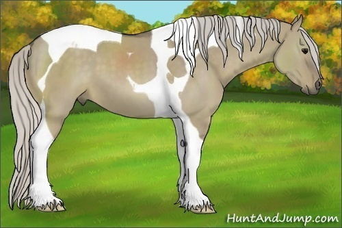 Horse Color:Silver Smoky Grullo Tobiano
