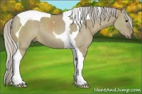 Horse Color:Silver Smoky Grullo Tobiano