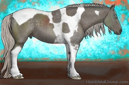 Horse Color:Silver Black Tobiano 