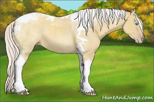 Horse Color:Silver Classic Champagne Dun Tobiano Rabicano