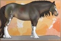 Horse Color:White Spotted Liver Chestnut Sabino Rabicano