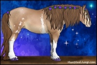 Horse Color:White Spotted Bay Pearl Sabino 