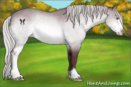 Horse Color:Chocolate Silver Bay Chinchilla Sabino