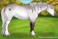 Horse Color:Chocolate Silver Bay Chinchilla Sabino