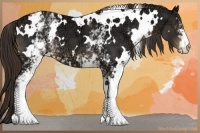 Horse Color:White Spotted Liver Chestnut Ice 