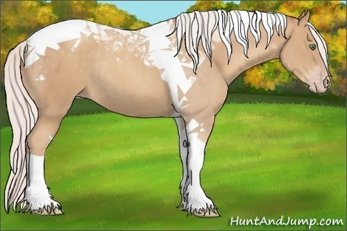 Horse Color:Silver Classic Champagne Tobiano Rabicano