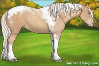 Horse Color:Silver Classic Champagne Tobiano Rabicano