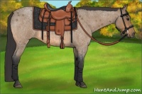 Horse Color:Buckskin Roan