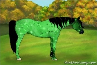 Horse Color:ERROR: UNKNOWN ANOMALY