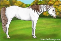 Horse Color:Chestnut Ice Sabino Frame 