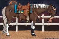 Horse Color:Silver Bay Tobiano