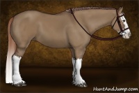 Horse Color:Liver Red Dun Splash