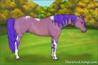 Horse Color:Watercolor Bay Tobiano 