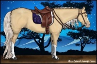 Horse Color:Silver Amber Champagne Dun